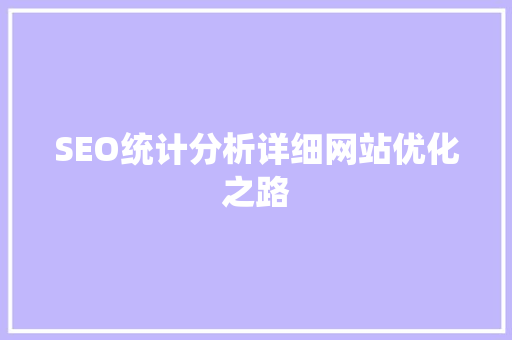 SEO统计分析详细网站优化之路