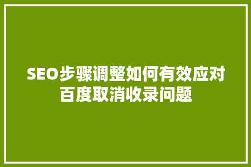 SEO步骤调整如何有效应对百度取消收录问题 百度SEO