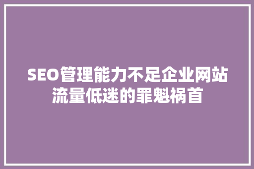 SEO管理能力不足企业网站流量低迷的罪魁祸首 GoogleSEO