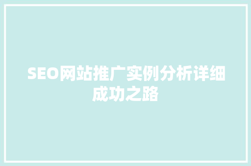 SEO网站推广实例分析详细成功之路 GoogleSEO