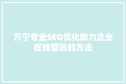 万宁专业SEO优化助力企业在线营销的方法 神马SEO