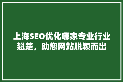 上海SEO优化哪家专业行业翘楚，助您网站脱颖而出