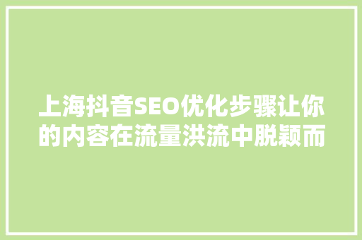 上海抖音SEO优化步骤让你的内容在流量洪流中脱颖而出