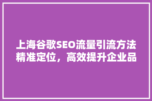 上海谷歌SEO流量引流方法精准定位，高效提升企业品牌影响力