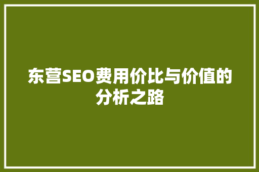 东营SEO费用价比与价值的分析之路 GoogleSEO
