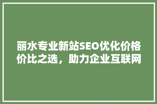 丽水专业新站SEO优化价格价比之选，助力企业互联网营销新突破 神马SEO