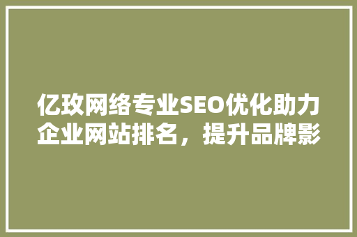 亿玫网络专业SEO优化助力企业网站排名，提升品牌影响力 GoogleSEO