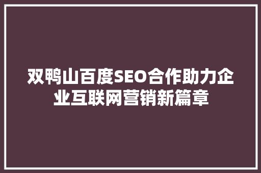 双鸭山百度SEO合作助力企业互联网营销新篇章 百度SEO