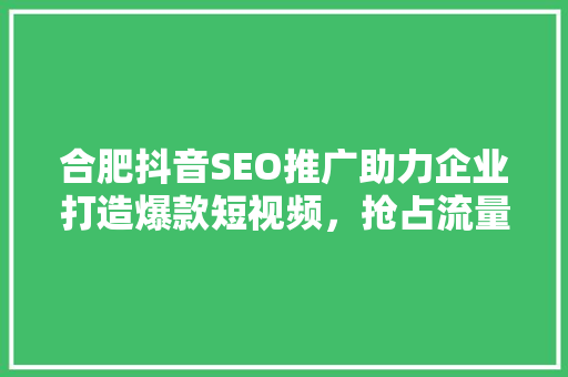合肥抖音SEO推广助力企业打造爆款短视频，抢占流量红利 百度SEO