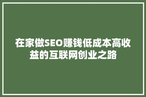 在家做SEO赚钱低成本高收益的互联网创业之路 必应SEO