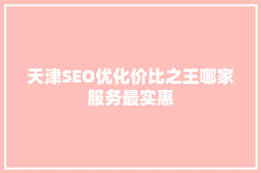 天津SEO优化价比之王哪家服务最实惠 GoogleSEO