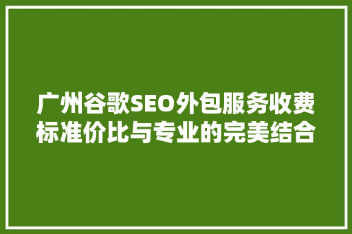 广州谷歌SEO外包服务收费标准价比与专业的完美结合 百度SEO