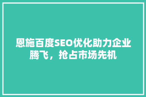 恩施百度SEO优化助力企业腾飞，抢占市场先机 神马SEO