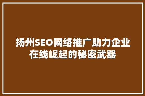 扬州SEO网络推广助力企业在线崛起的秘密武器