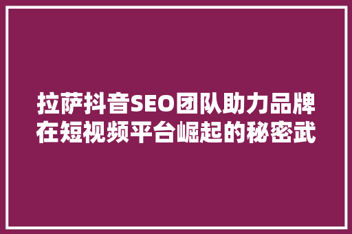 拉萨抖音SEO团队助力品牌在短视频平台崛起的秘密武器