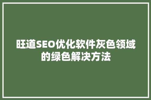 旺道SEO优化软件灰色领域的绿色解决方法 GoogleSEO