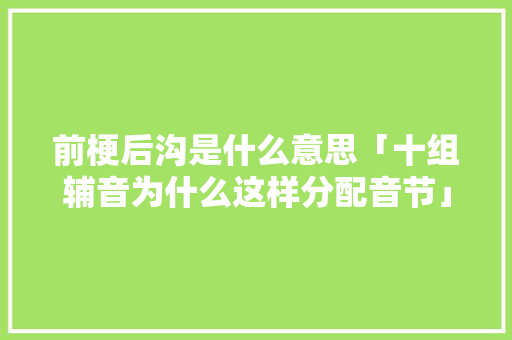 前梗后沟是什么意思「十组辅音为什么这样分配音节」 前梗后沟是什么意思「十组辅音为什么这样分配音节」 必应SEO