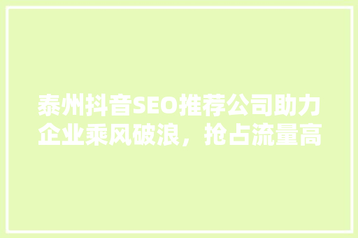 泰州抖音SEO推荐公司助力企业乘风破浪，抢占流量高地 百度SEO