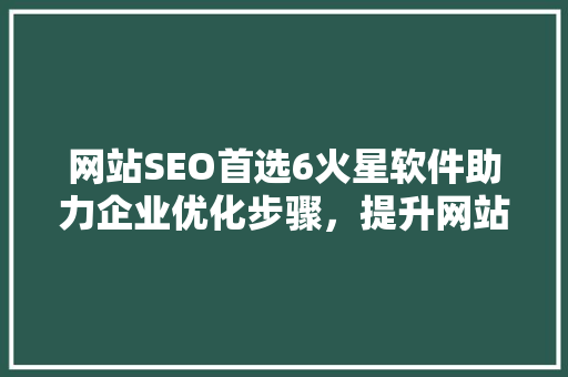 网站SEO首选6火星软件助力企业优化步骤，提升网站流量与转化率 百度SEO