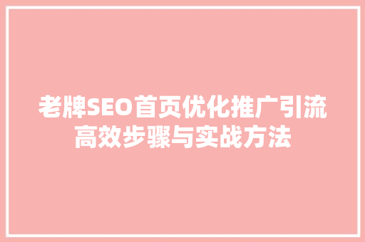 老牌SEO首页优化推广引流高效步骤与实战方法 GoogleSEO