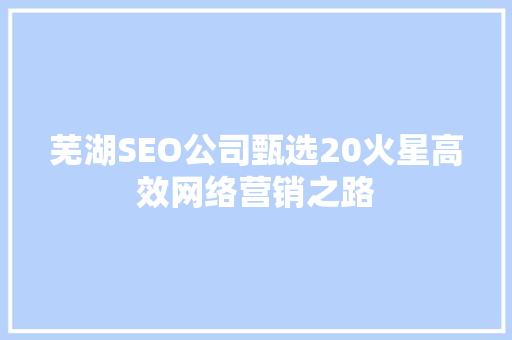 芜湖SEO公司甄选20火星高效网络营销之路