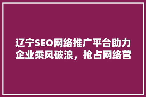 辽宁SEO网络推广平台助力企业乘风破浪，抢占网络营销高地 搜狗SEO
