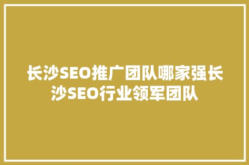 长沙SEO推广团队哪家强长沙SEO行业领军团队 神马SEO