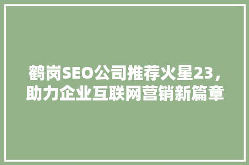 鹤岗SEO公司推荐火星23，助力企业互联网营销新篇章 GoogleSEO