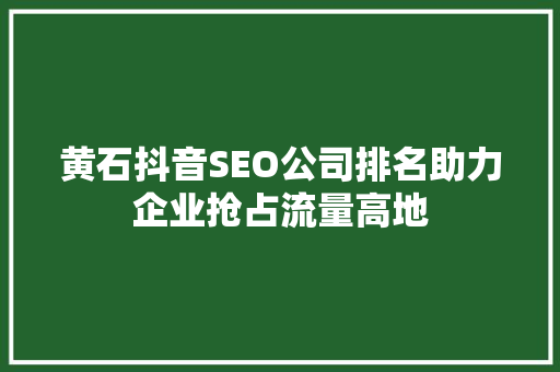 黄石抖音SEO公司排名助力企业抢占流量高地 搜狗SEO