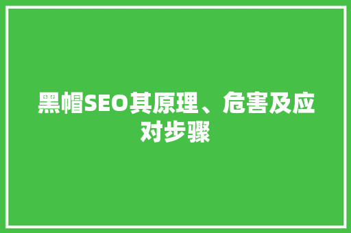 黑帽SEO其原理、危害及应对步骤 百度SEO
