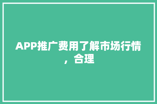 APP推广费用了解市场行情，合理 百度SEO