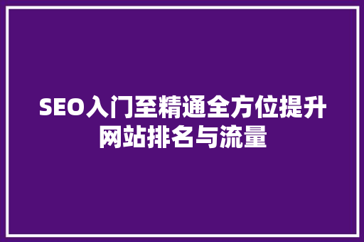 SEO入门至精通全方位提升网站排名与流量 搜狗SEO