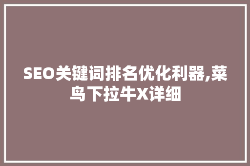 SEO关键词排名优化利器,菜鸟下拉牛X详细 GoogleSEO