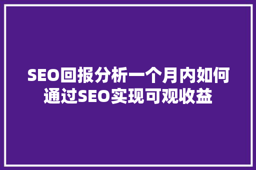 SEO回报分析一个月内如何通过SEO实现可观收益 百度SEO