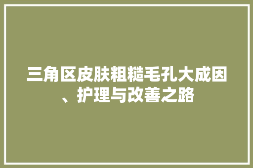 三角区皮肤粗糙毛孔大成因、护理与改善之路 神马SEO