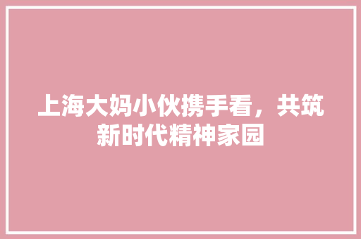 上海大妈小伙携手看，共筑新时代精神家园 搜狗SEO