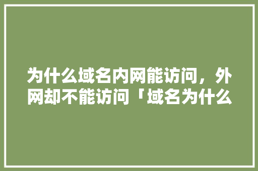 为什么域名内网能访问，外网却不能访问「域名为什么打不开网页链接」