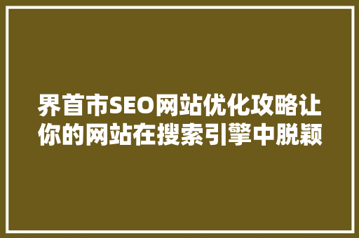 界首市SEO网站优化攻略让你的网站在搜索引擎中脱颖而出 GoogleSEO