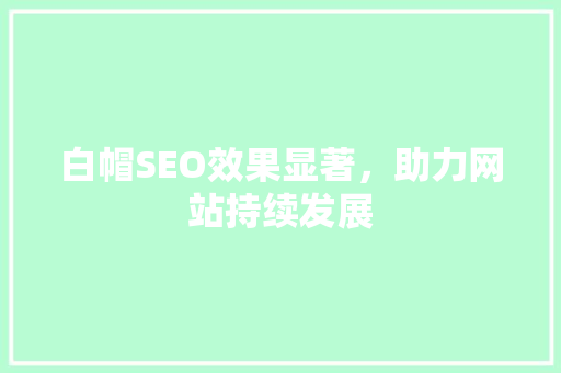 白帽SEO效果显著，助力网站持续发展 GoogleSEO