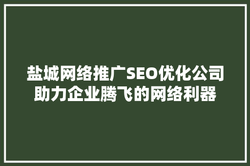 盐城网络推广SEO优化公司助力企业腾飞的网络利器 GoogleSEO