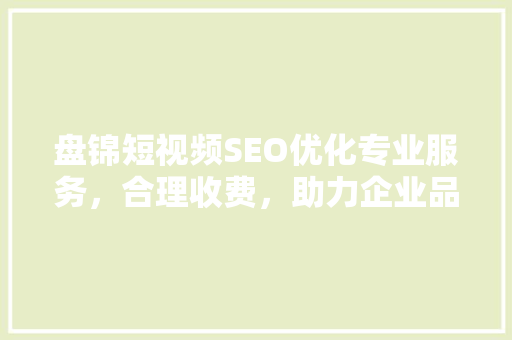 盘锦短视频SEO优化专业服务，合理收费，助力企业品牌腾飞