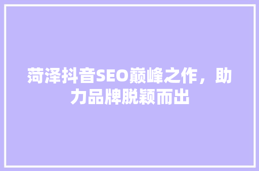 菏泽抖音SEO巅峰之作，助力品牌脱颖而出