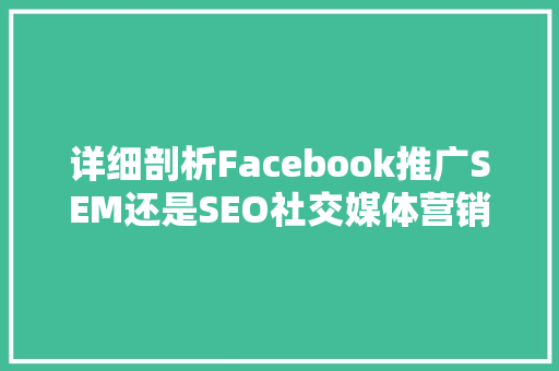 详细剖析Facebook推广SEM还是SEO社交媒体营销的奥秘 必应SEO