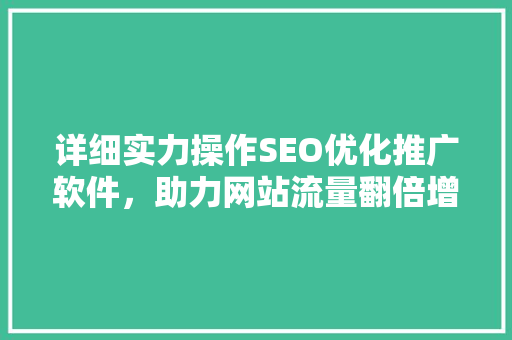 详细实力操作SEO优化推广软件，助力网站流量翻倍增长