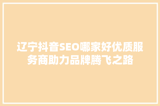 辽宁抖音SEO哪家好优质服务商助力品牌腾飞之路 必应SEO