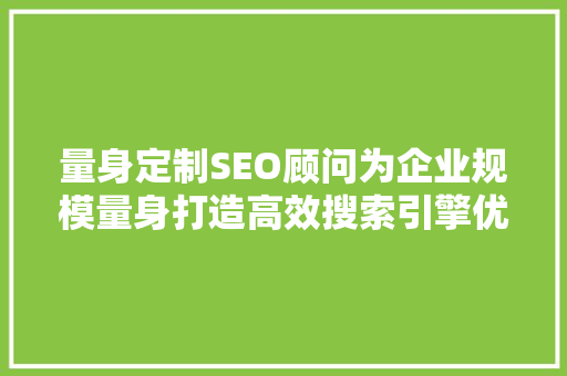 量身定制SEO顾问为企业规模量身打造高效搜索引擎优化步骤 必应SEO