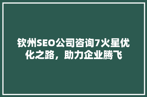 钦州SEO公司咨询7火星优化之路，助力企业腾飞 搜狗SEO