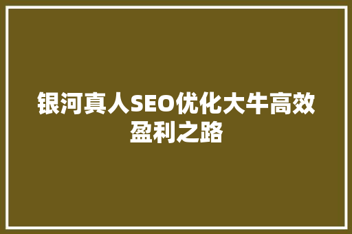 银河真人SEO优化大牛高效盈利之路
