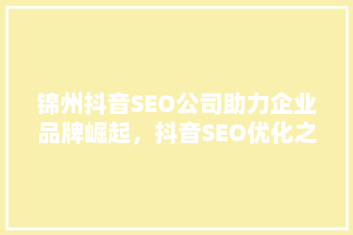 锦州抖音SEO公司助力企业品牌崛起，抖音SEO优化之路