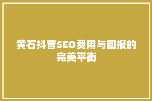黄石抖音SEO费用与回报的完美平衡 GoogleSEO